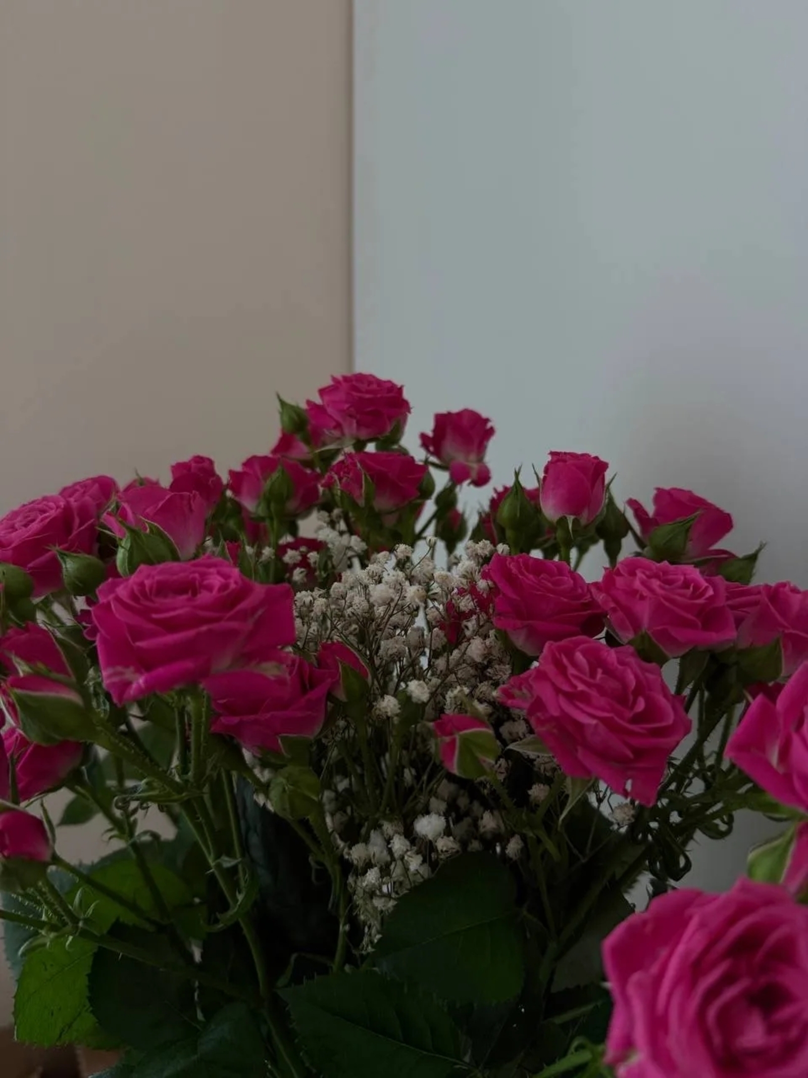 Сәскәләрҙе күп бүләк иттеләрме?