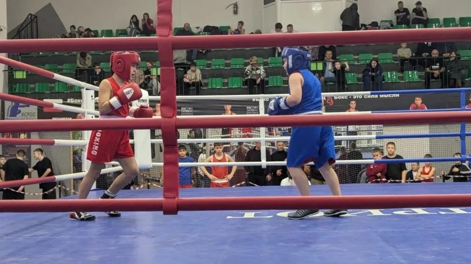 Тренер тураһында хәтер тере