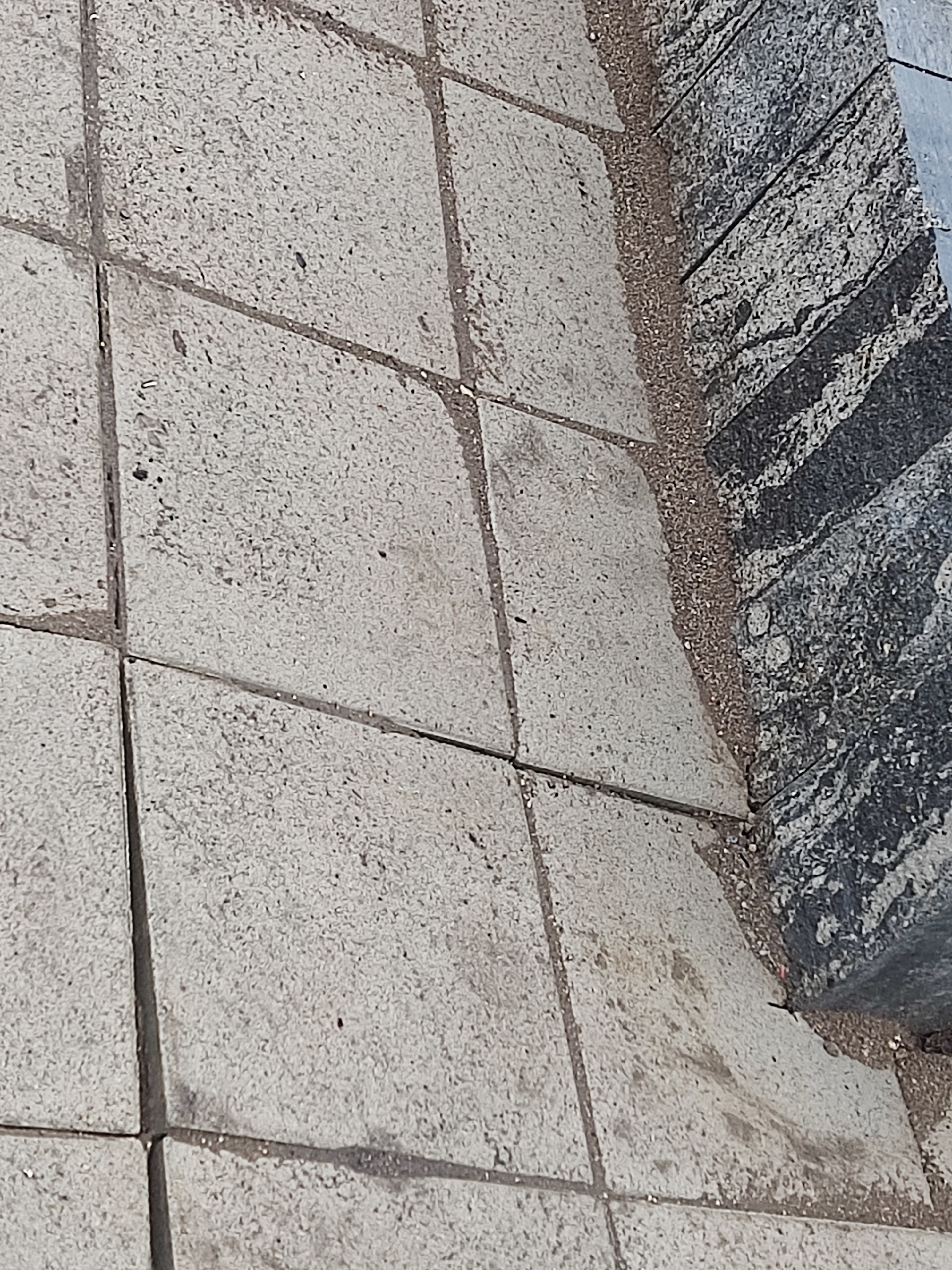 Етешһеҙлектәр бөтөрөләсәк