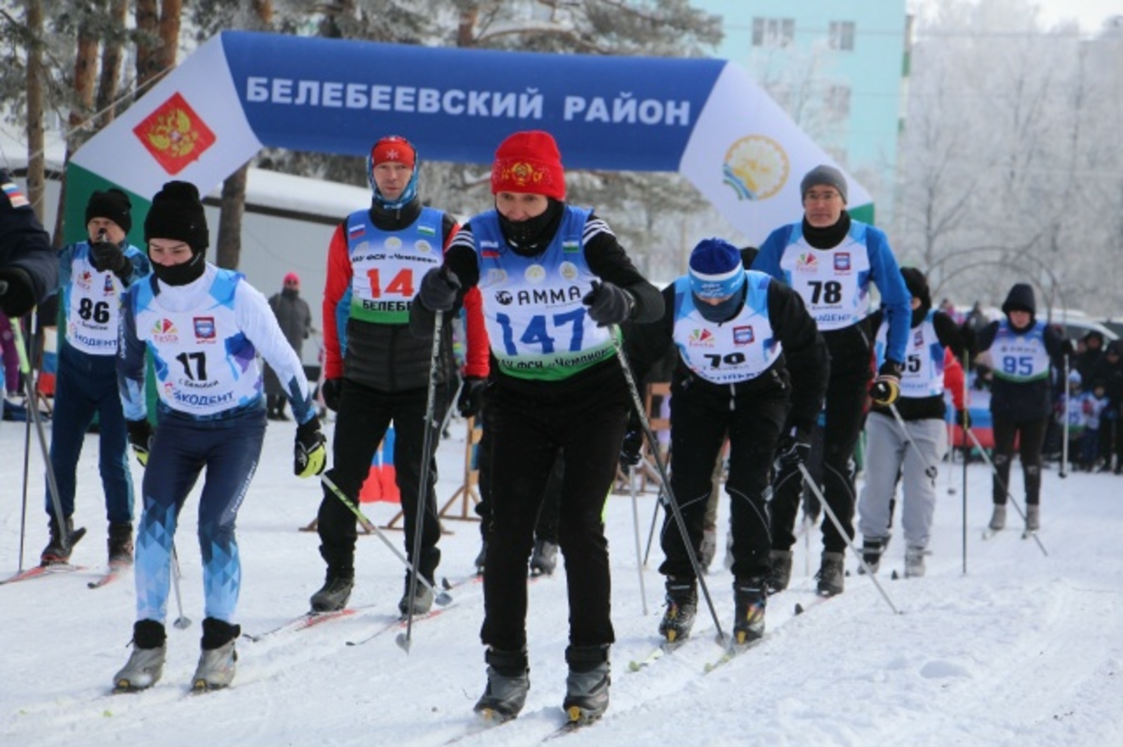 Саңғы ярыштары