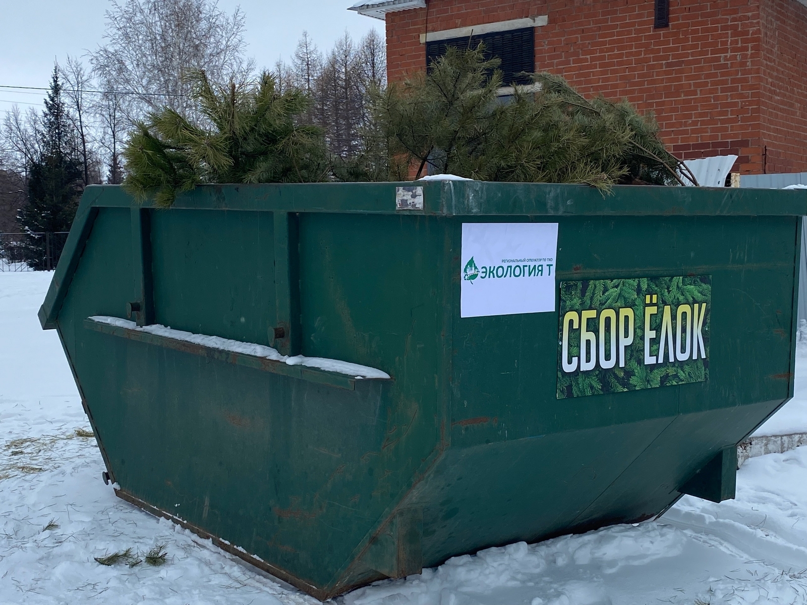 Шыршыны тәмле бүләккә алмаштырығыҙ