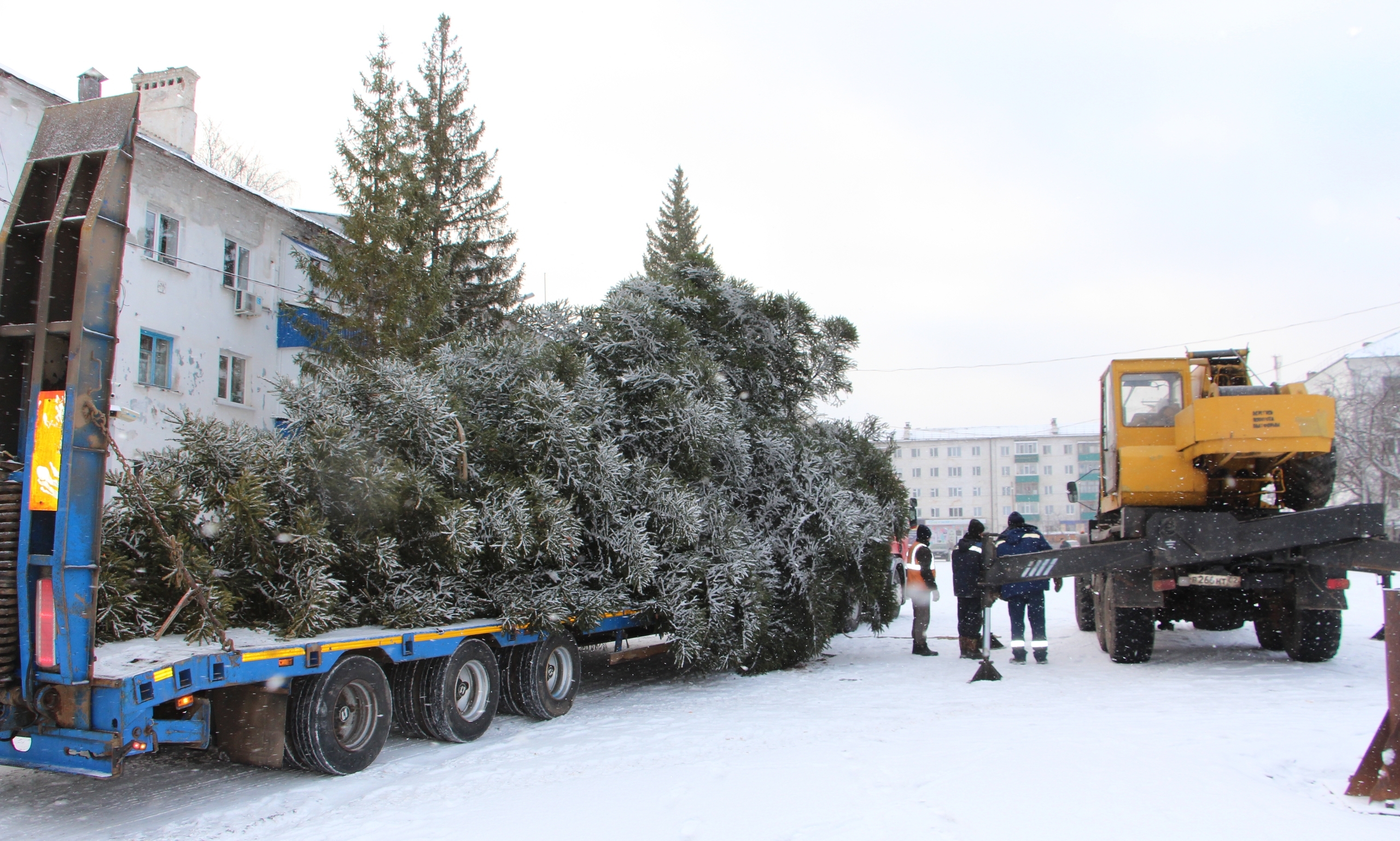 Райондың төп Яңы йыл майҙанына шыршы ҡуйылды