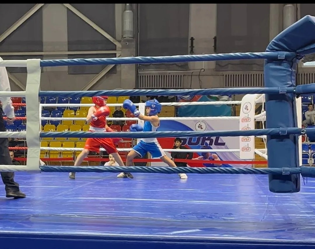 Бәләкәй боксерҙар – ҙур еңеүҙәр