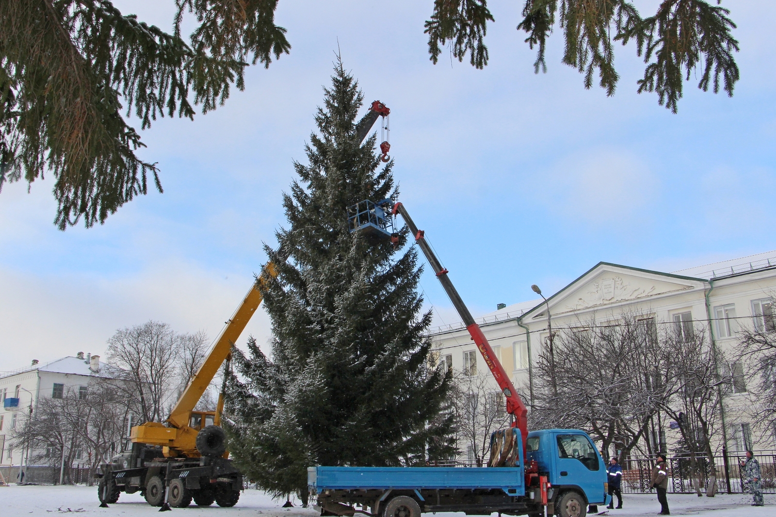 Райондың төп Яңы йыл майҙанына шыршы ҡуйылды