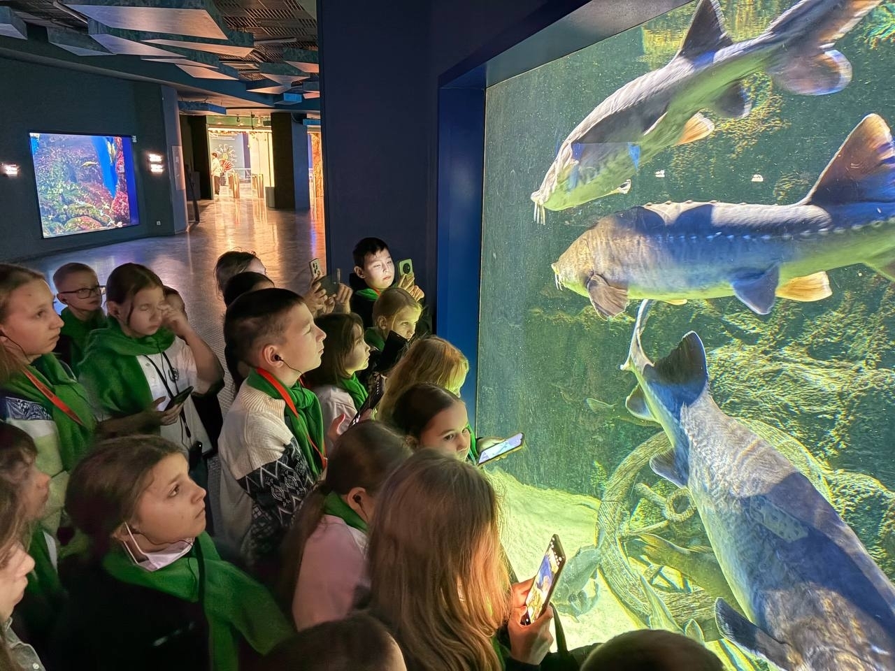 Кремлдә Яңы йыл шыршыһы