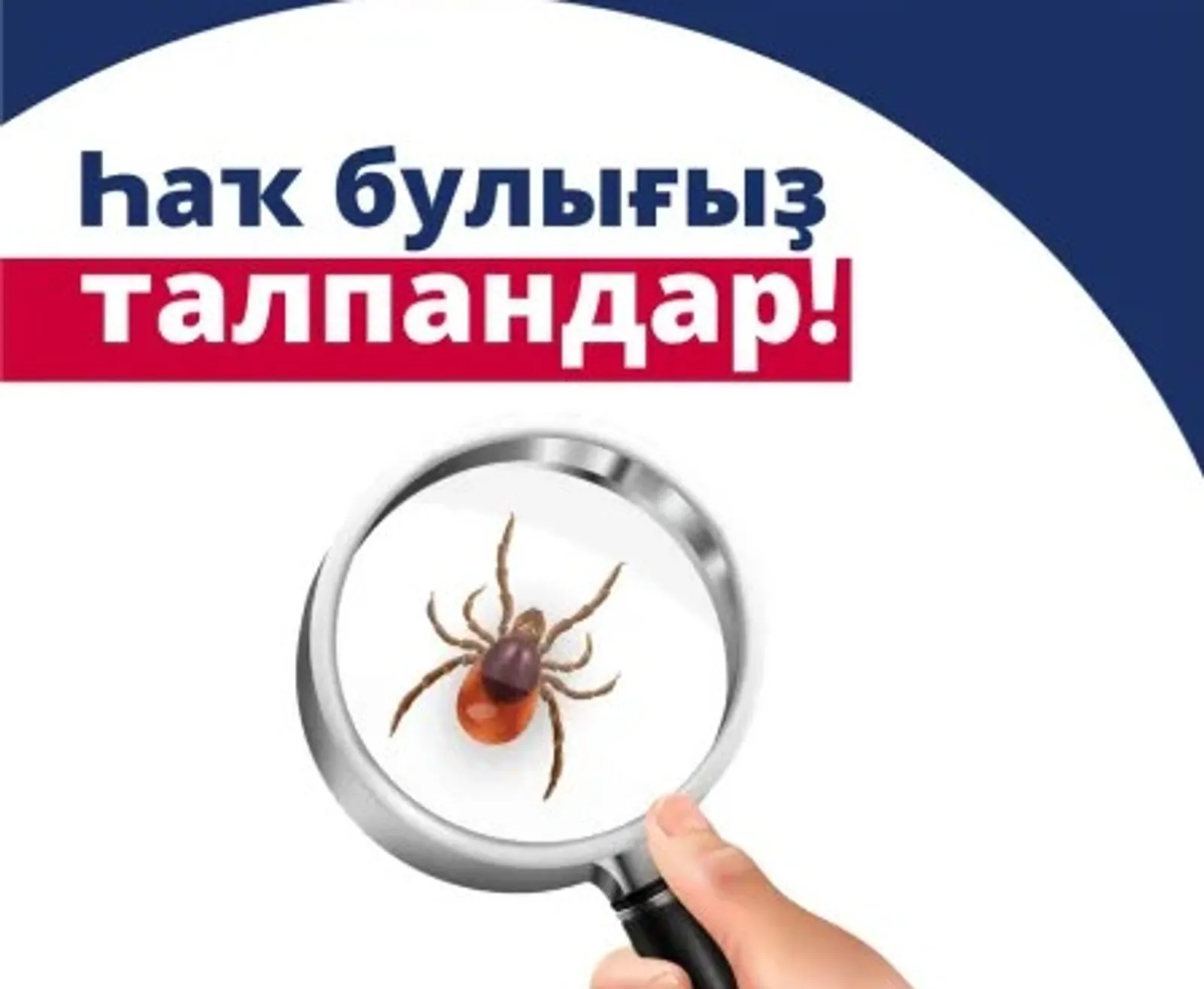 Талпан энцефалитын иҫкәртеү тураһында