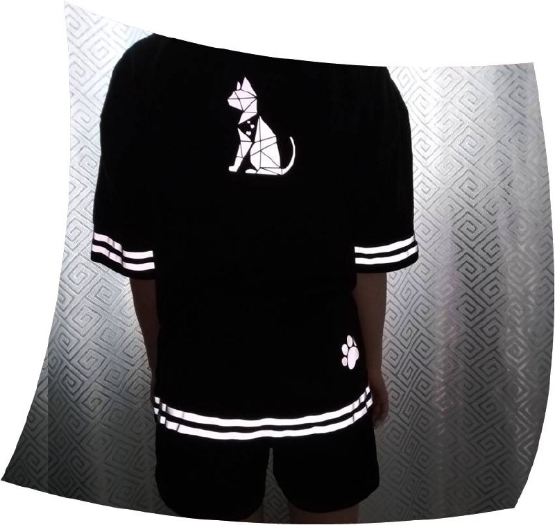 Йәш хәрәкәт инспекторҙары модаһы