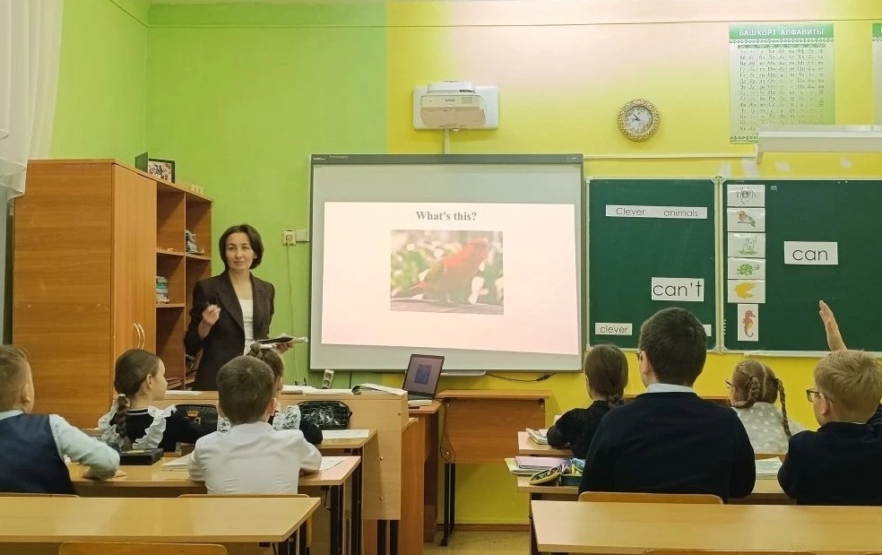 «Уңыш серҙәре»: Бәләбәй районында иң яҡшы уҡытыусыны һайлайҙар