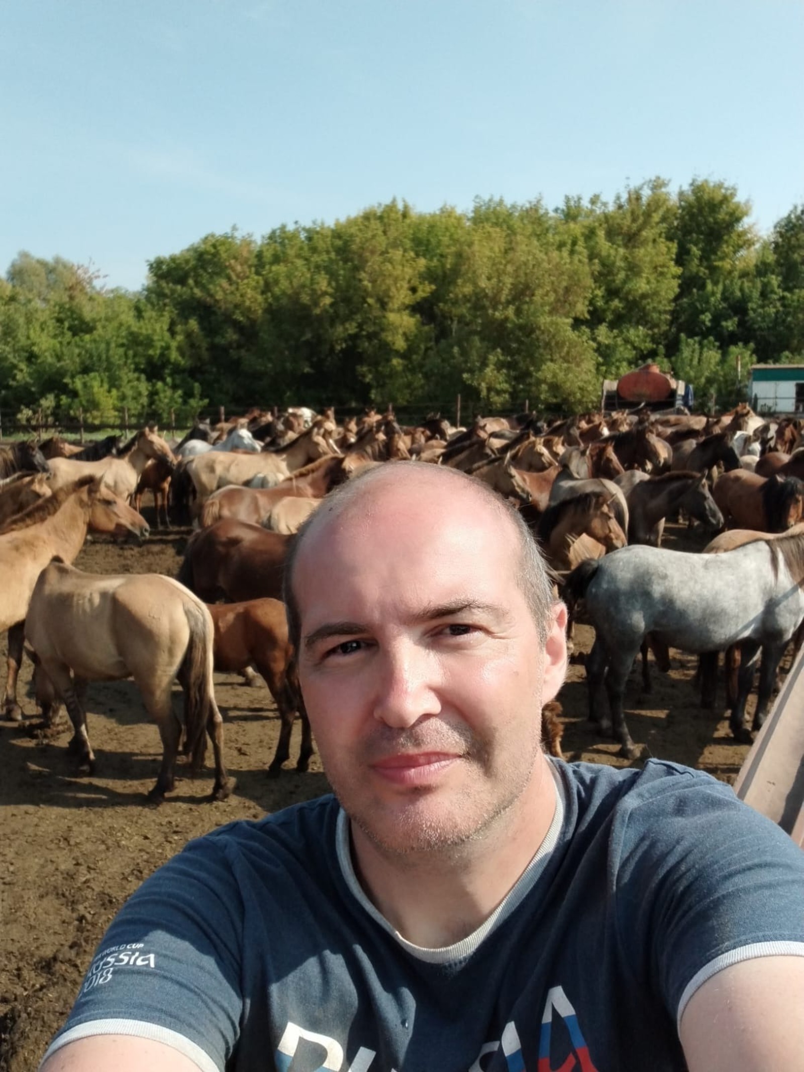 Башҡортостан үҙенең уникаль йылҡы тоҡомон нисек һаҡлай