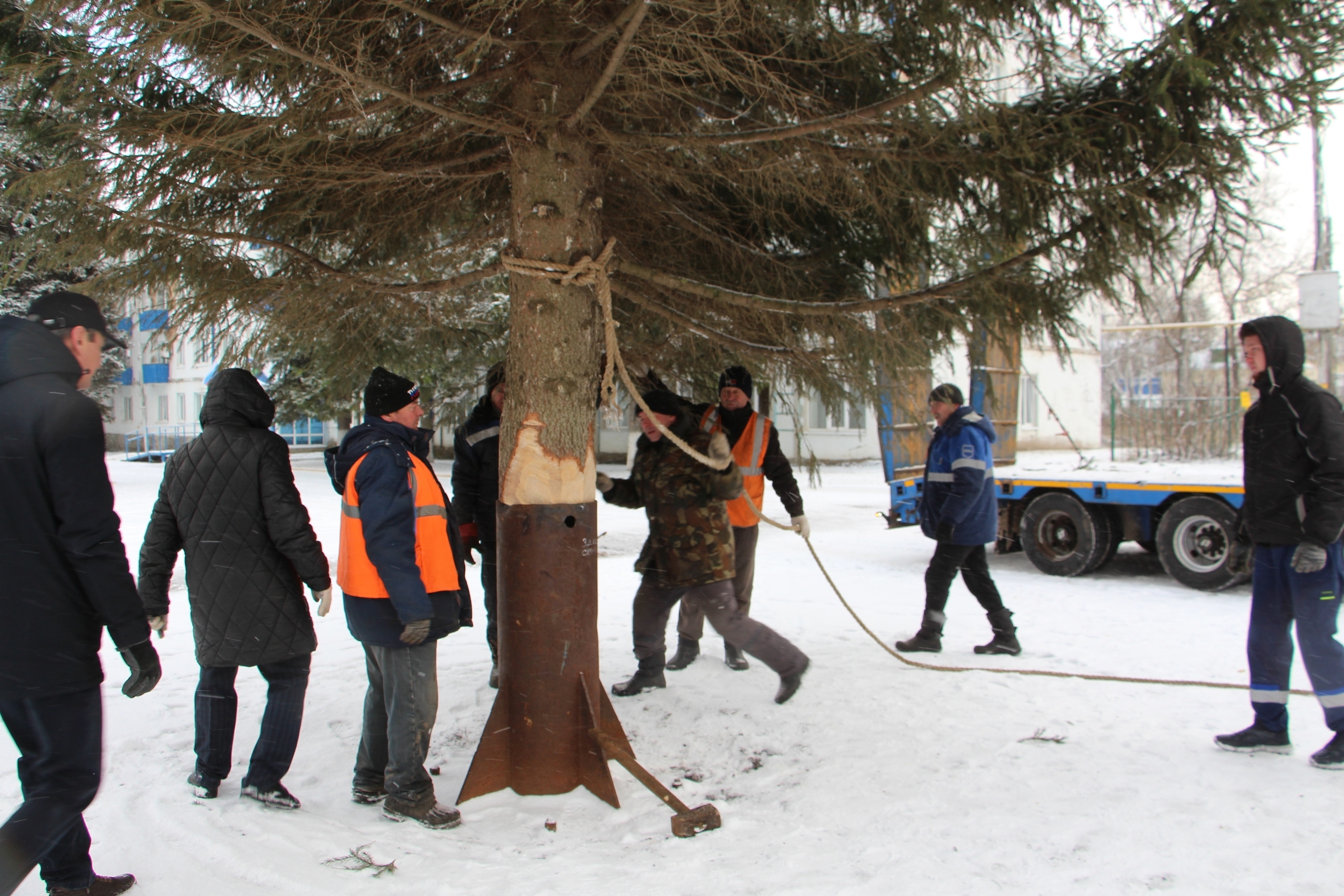 Райондың төп Яңы йыл майҙанына шыршы ҡуйылды