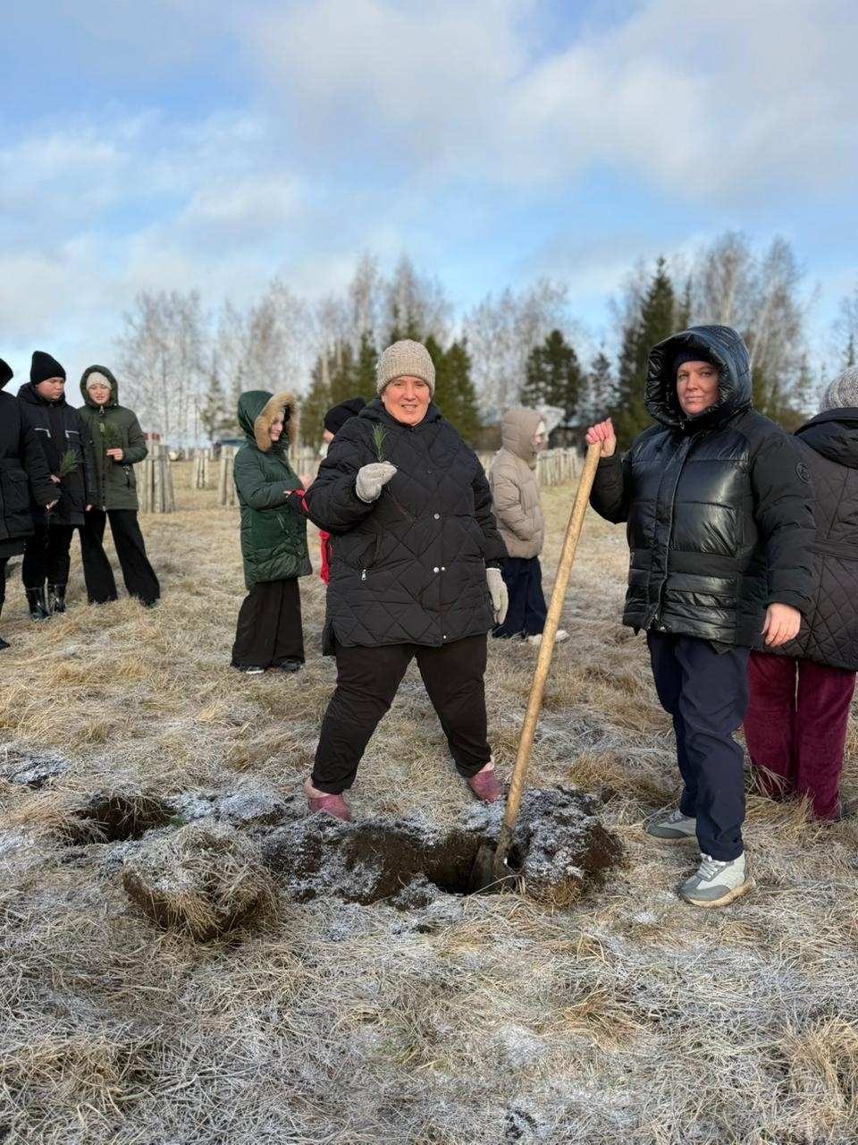 Еңеү символы булараҡ кедрҙар